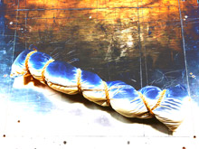 model for Bound for Glory