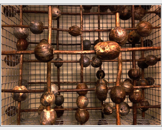 "g-rod" - goldenrod gall sculpture